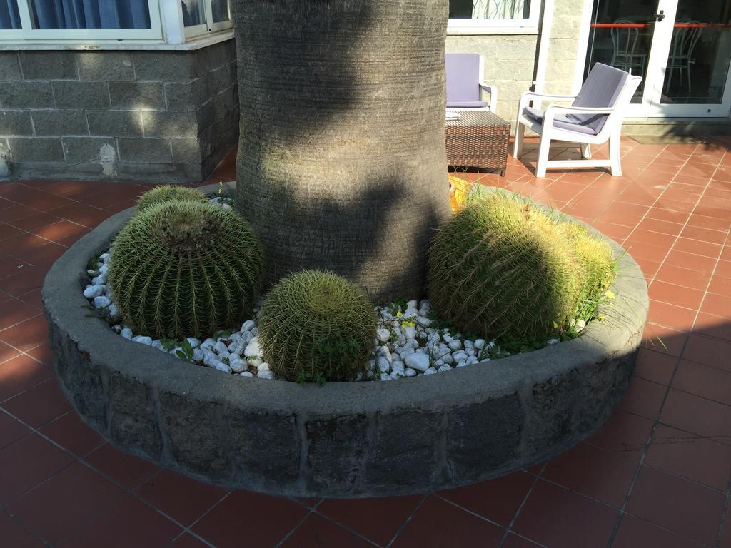 Hotel Villa Al Parco Forio di Ischia Eksteriør bilde